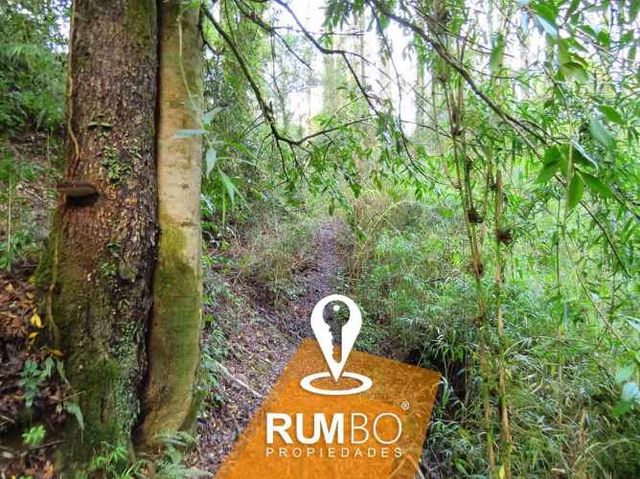 En venta parcela de 5.000 m2 con estero, sector Ñancul, Villarrica