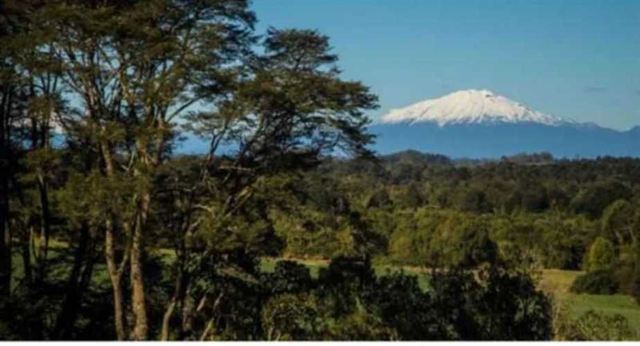 Parcela en venta Loncotoro (116125)