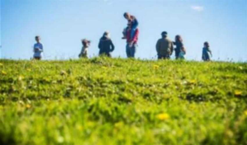 Parcela en venta Loncotoro (116125)