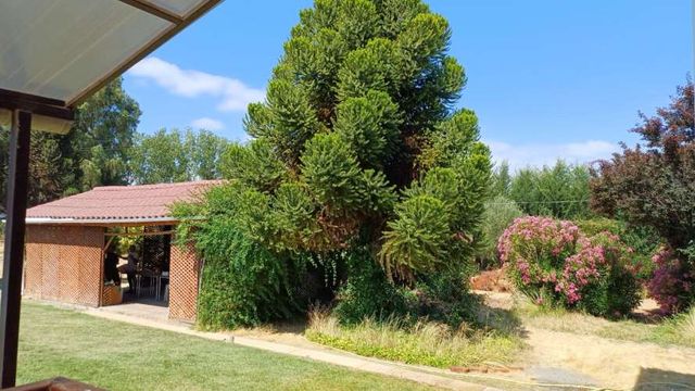 Casona en Lago Rapel Los Coipos