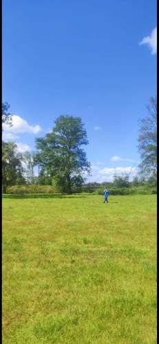 Se vende hermoso  campo de 50 hectáreas, agrícola y ganadero.