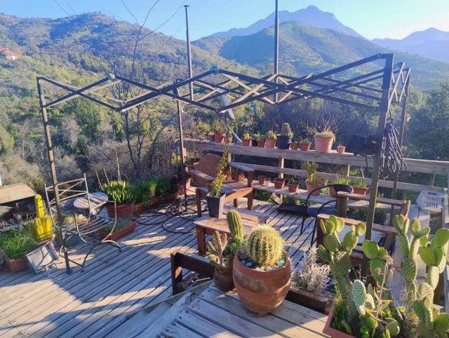 Parcela con hermosa casa de madera 100% nativa. 4 d.