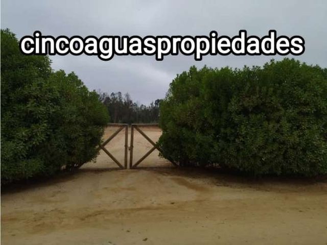 Parcela en Foresta de Zapallar, con cerco vivo