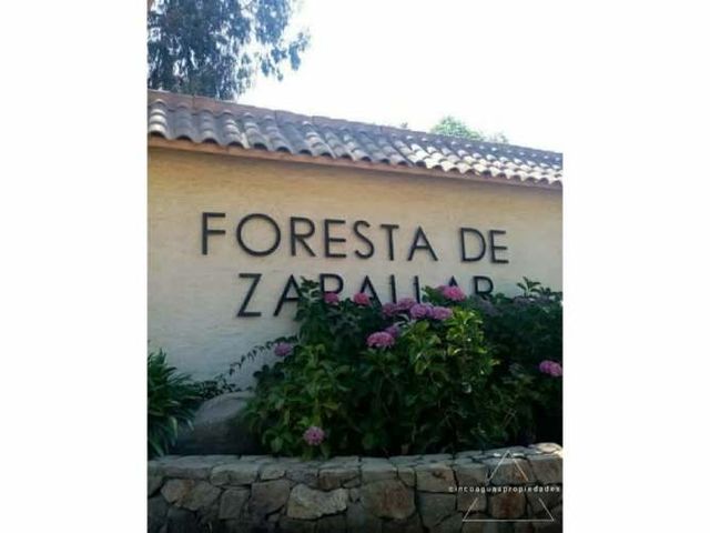 Parcela con excelente ubicación Foresta de Zapallar
