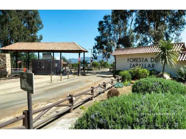 Oferta, parcela en Catapilco Foresta de Zapallar