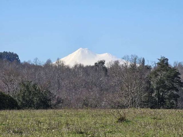 Venta de Parcelas Faja 24 mil Huichahue