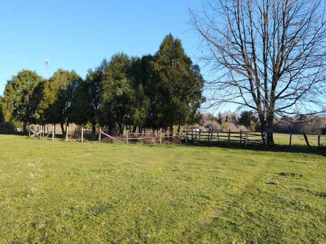 Venta de Parcelas Faja 24 mil Huichahue