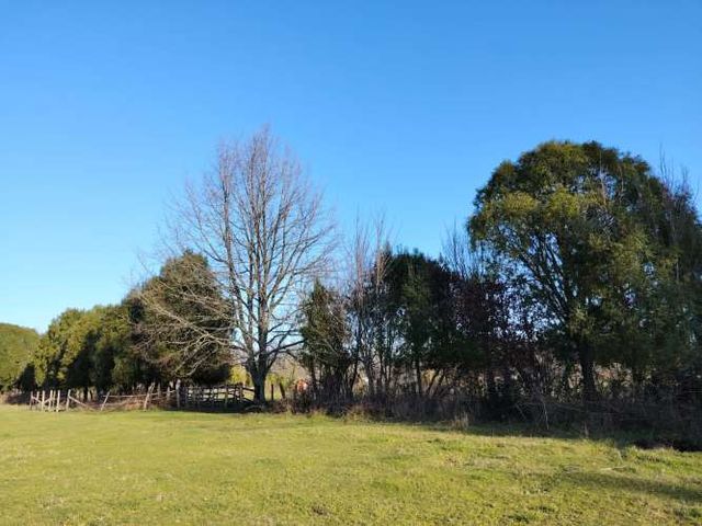 Venta de Parcelas Faja 24 mil Huichahue