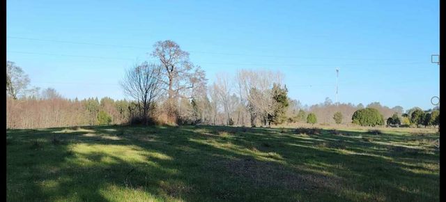 Venta de Parcelas Faja 24 mil Huichahue