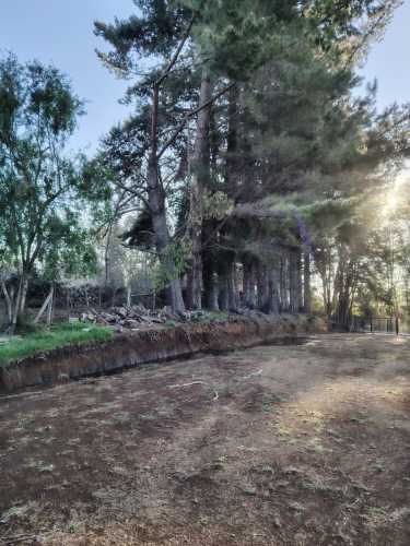 Venta de Parcelas Faja 24 mil Huichahue