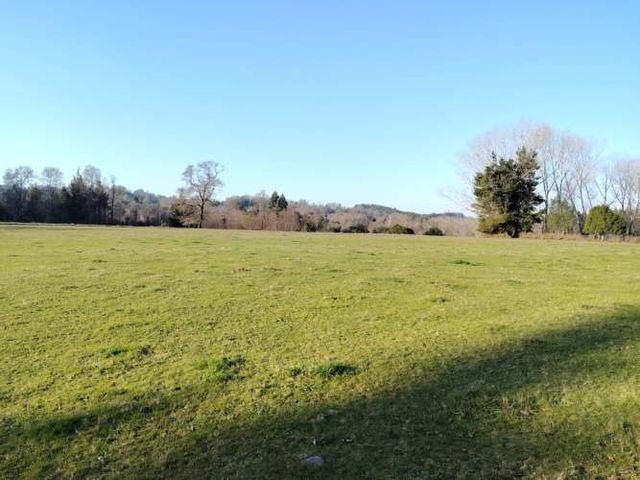 Venta de Parcelas Faja 24 mil Huichahue