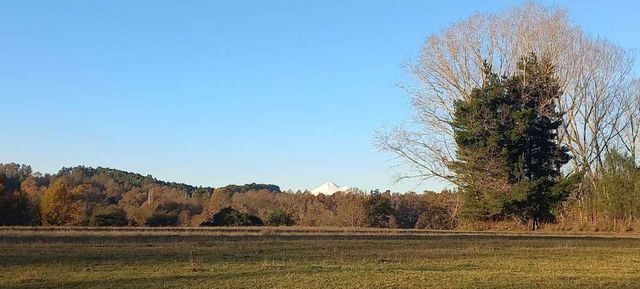 Venta de Parcelas Faja 24 mil Huichahue