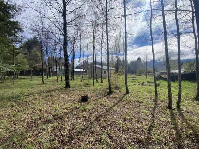 PARCELA pasaje el triunfo