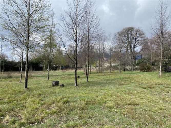 PARCELA pasaje el triunfo