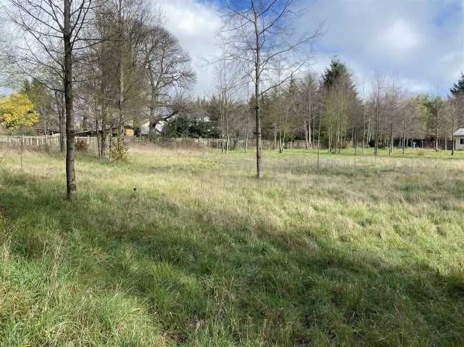 PARCELA pasaje el triunfo