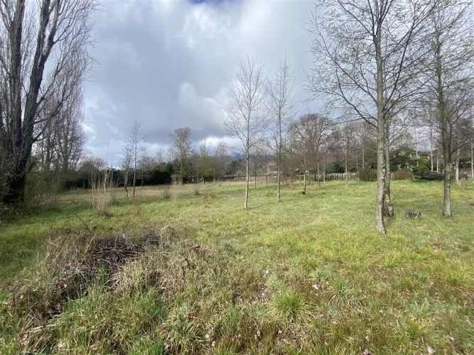 PARCELA pasaje el triunfo