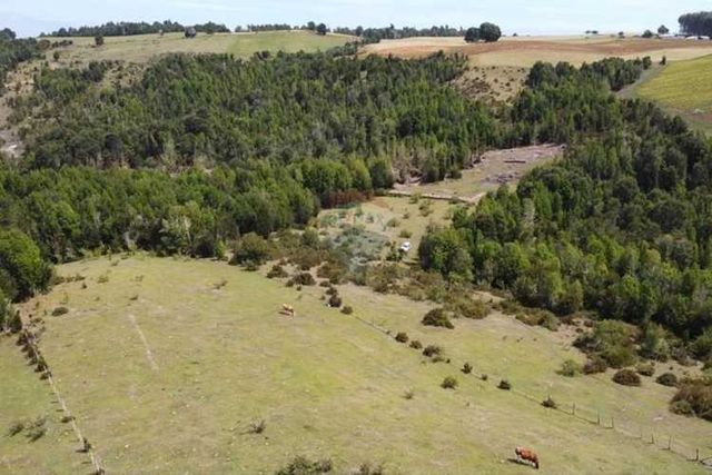 Paz y tranquilidad en los muermos