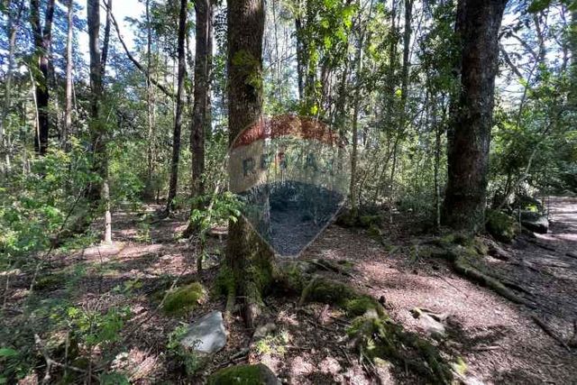 Parcela con orilla de camino al volcán, pucón