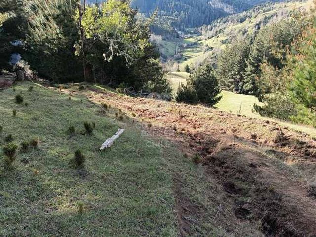 Se Vende Campo de 33 Hectáreas