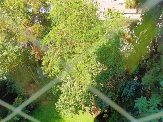 DEPARTAMENTO Plaza Perú / Carmencita