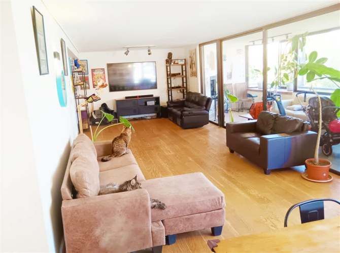 DEPARTAMENTO Plaza Perú / Carmencita