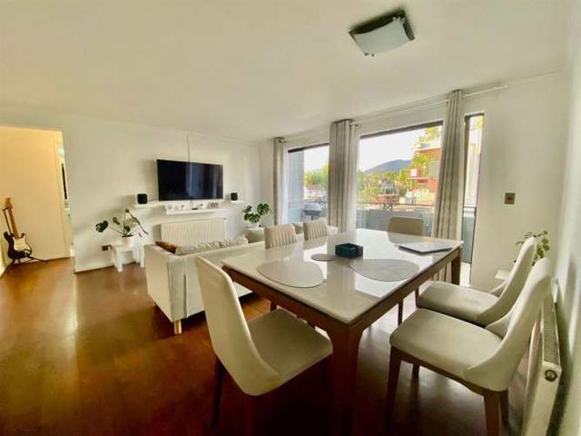 DEPARTAMENTO Padre Alfredo Arteaga - El Gabino