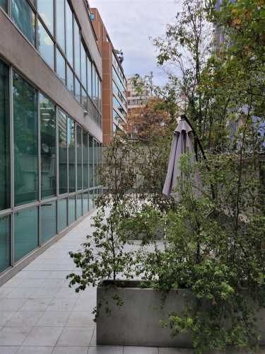 LOCAL COMERCIAL Avda. El Bosque / Don Carlos / El Golf