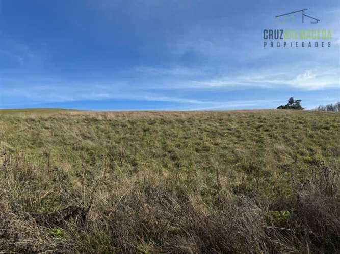 PARCELA Fundo Llanquihue