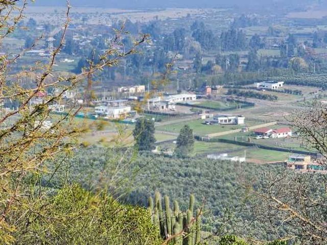 Parcela LOS MAQUIS S/N