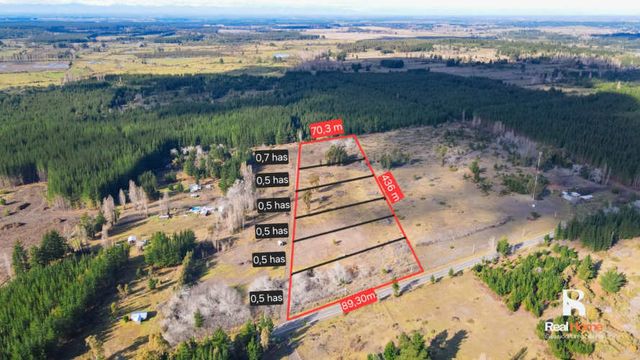 Venta de Parcelas en Sector Los Canelos – Cabrero