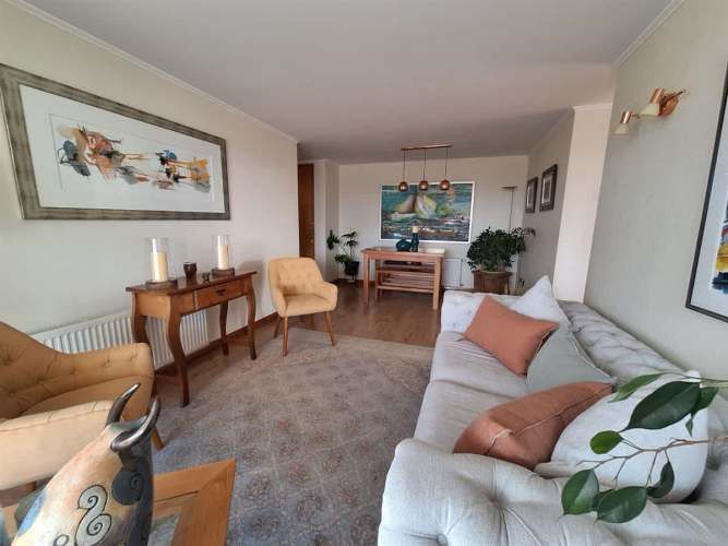 DEPARTAMENTO Don Simon XIV