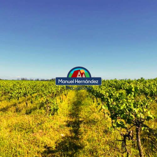 PARCELAS EN SAN ENRIQUE, SANTO DOMINGO V REGION