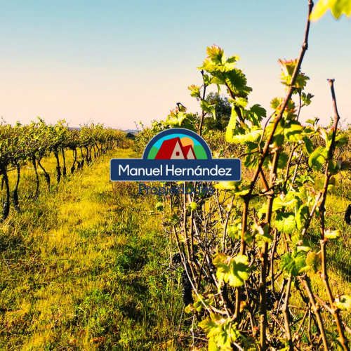 PARCELAS EN SAN ENRIQUE, SANTO DOMINGO V REGION