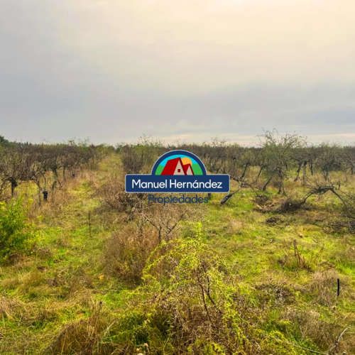 PARCELAS EN SAN ENRIQUE, SANTO DOMINGO V REGION