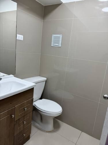 AMPLIO Y LUMINOSO DEPARTAMENTO A PASOS DE LA QUINTA VERGARA (PRIMER PISO) SIN COMISION