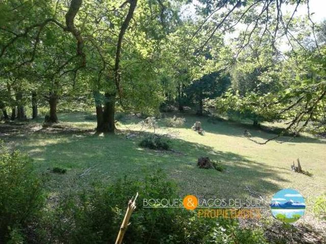 Parcela Curarrehue 2,77 hectáreas con orilla de rio.