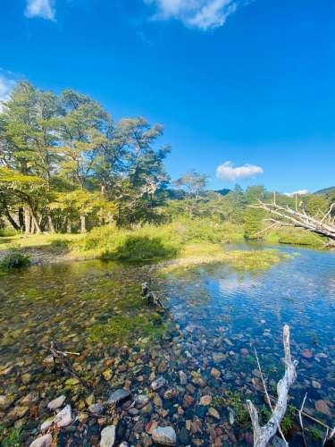Parcela Curarrehue 2,77 hectáreas con orilla de rio.