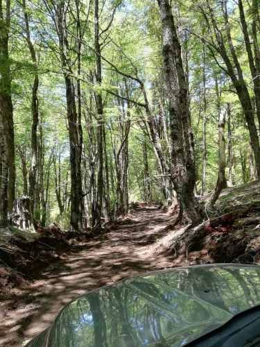 Parcela Curarrehue 2,77 hectáreas con orilla de rio.