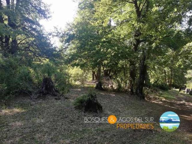 Parcela Curarrehue 2,77 hectáreas con orilla de rio.