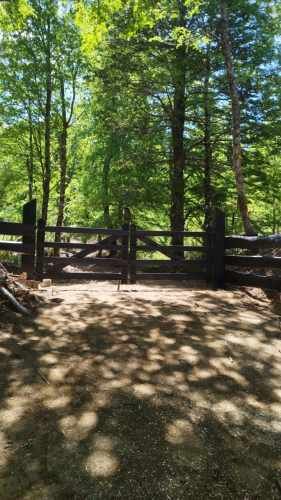 Parcela Curarrehue 2,77 hectáreas con orilla de rio.