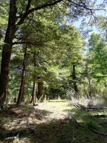Parcela Curarrehue 2,77 hectáreas con orilla de rio.