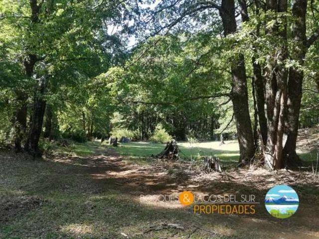 Parcela Curarrehue 2,77 hectáreas con orilla de rio.