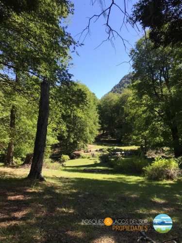 Parcela Curarrehue 2,77 hectáreas con orilla de rio.