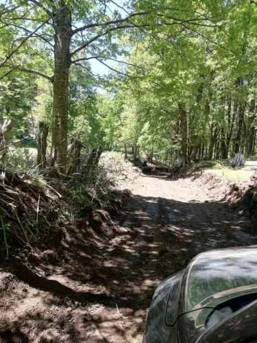 Parcela Curarrehue 2,77 hectáreas con orilla de rio.