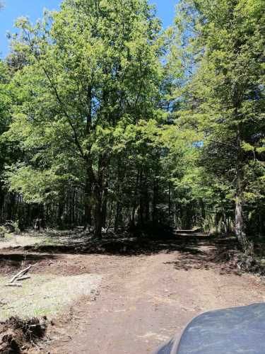 Parcela Curarrehue 2,77 hectáreas con orilla de rio.