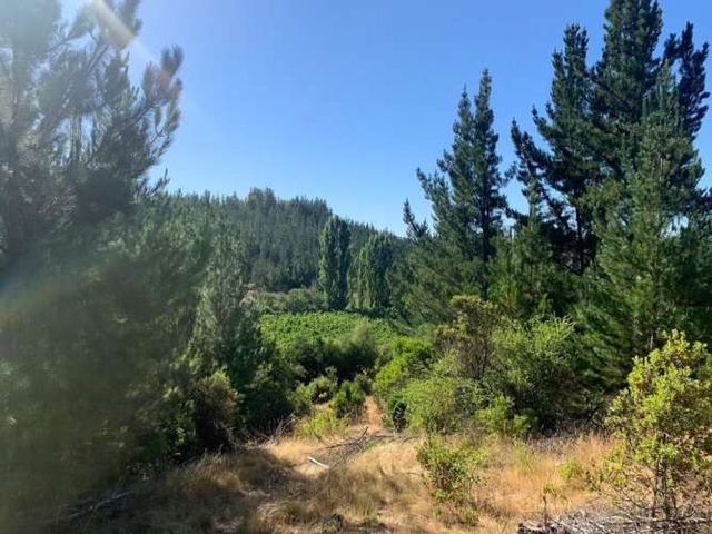 Parcelas en Cauquenes séptima región $7.000.000