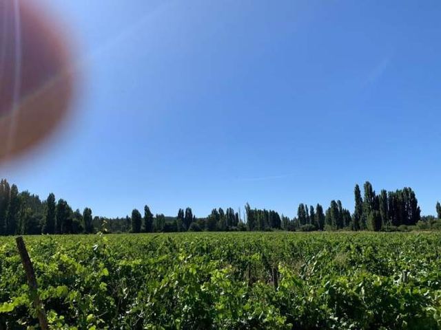 Parcelas en Cauquenes séptima región $7.000.000