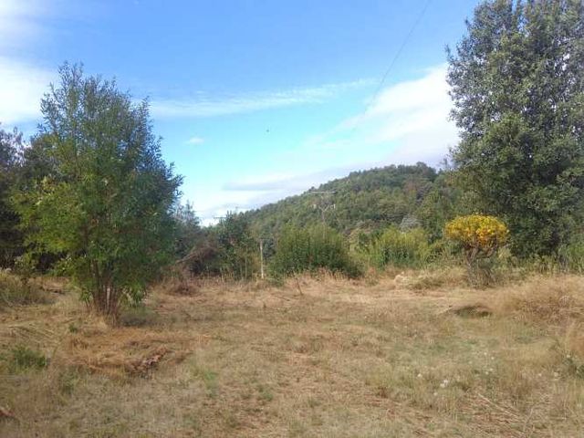 Parcela en Venta – Sector Santa Elvira, Valdivia