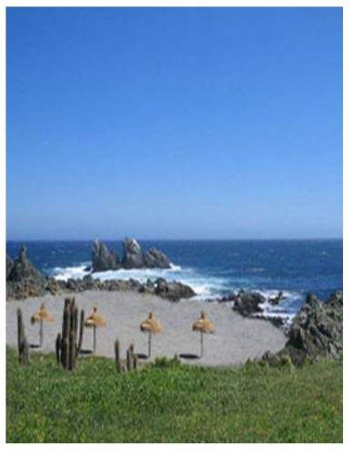 Invierte en Naturaleza Parcela en Costa Dorada con Vista y Tranquilidad Asegurada
