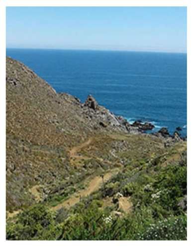 Invierte en Naturaleza Parcela en Costa Dorada con Vista y Tranquilidad Asegurada